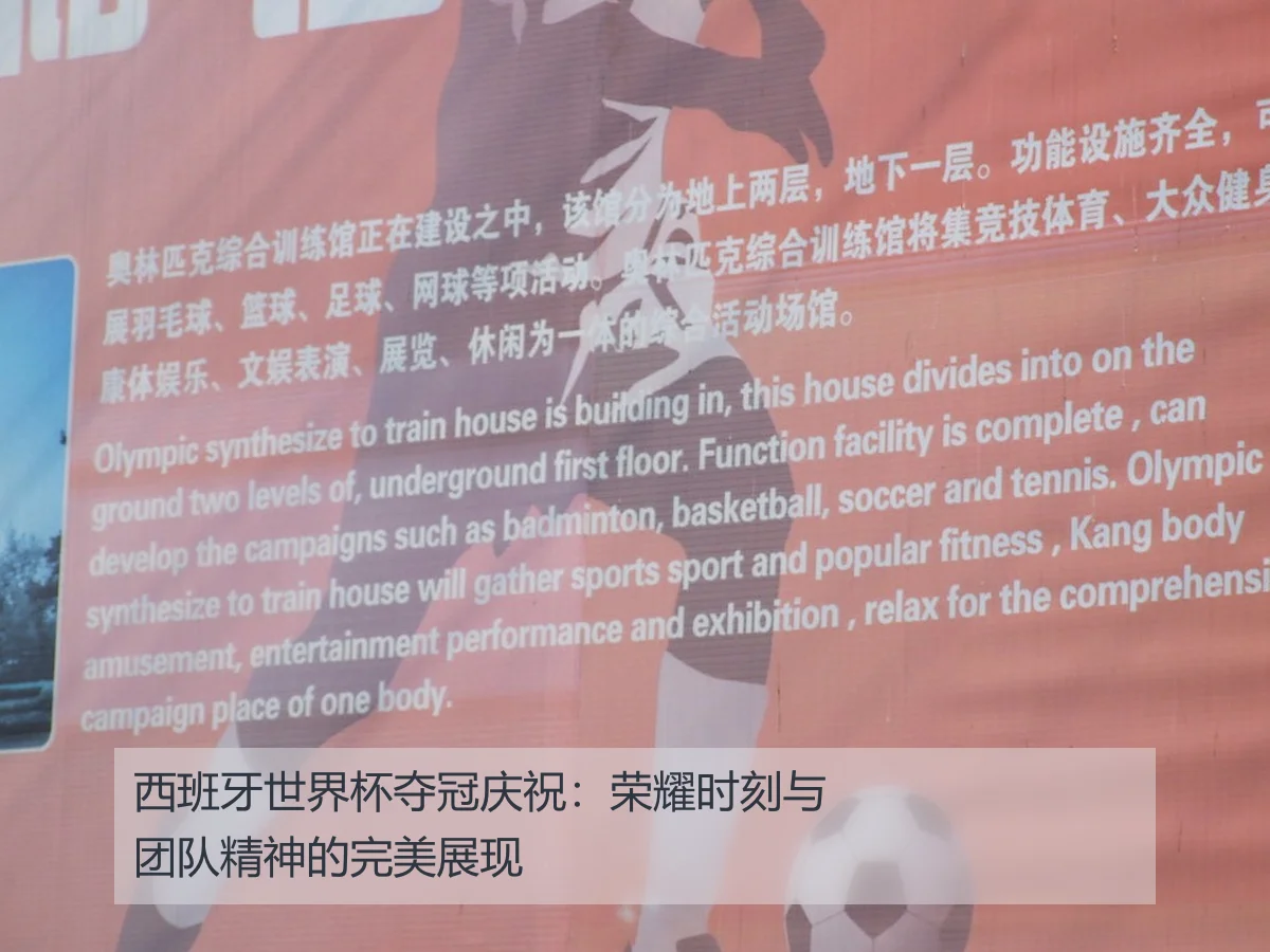 西班牙世界杯夺冠庆祝：荣耀时刻与团队精神的完美展现