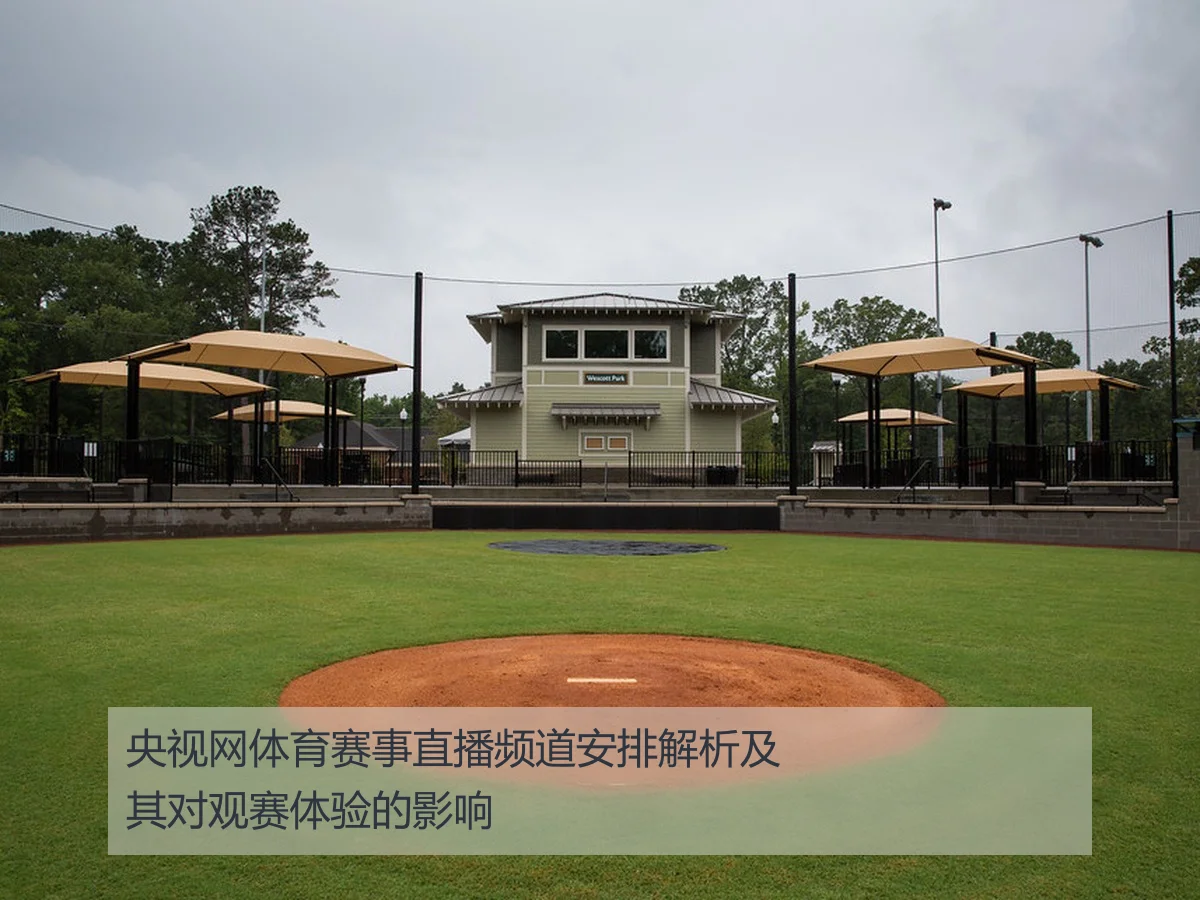 央视网体育赛事直播频道安排解析及其对观赛体验的影响